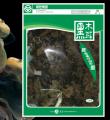 黑木耳