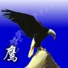 qq727041097������2008-11-04���ʹ�������