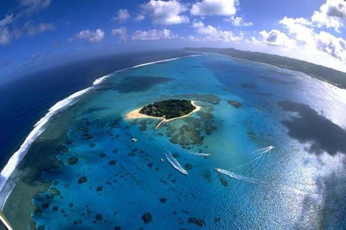 直销专业网,富迪