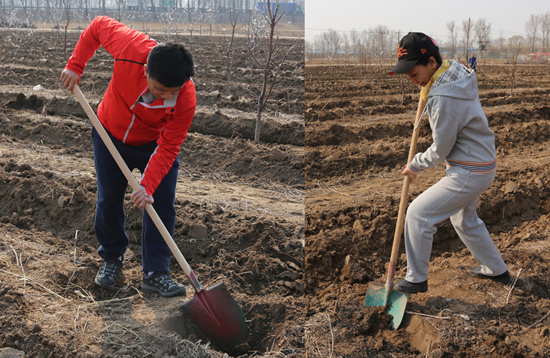 直销专业网,保罗,绿色生态,环保理念,员工,生态园