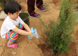 “ɫӤ”—ȫֲ˶ٴμе̼